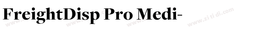 FreightDisp Pro Medi字体转换